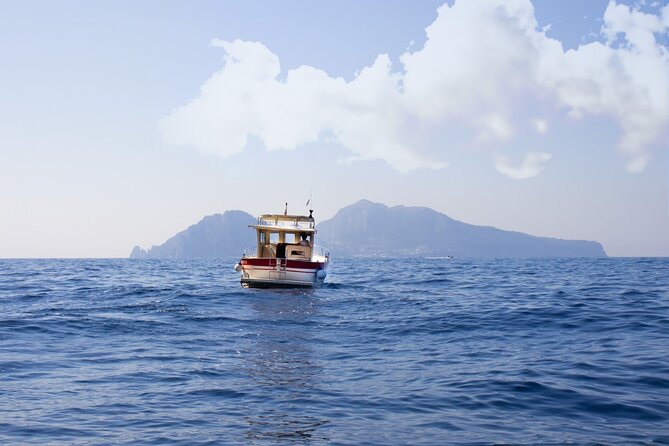 Private tour with fishing, tour of Capri and lunch on board - Pickup, timing, and weather