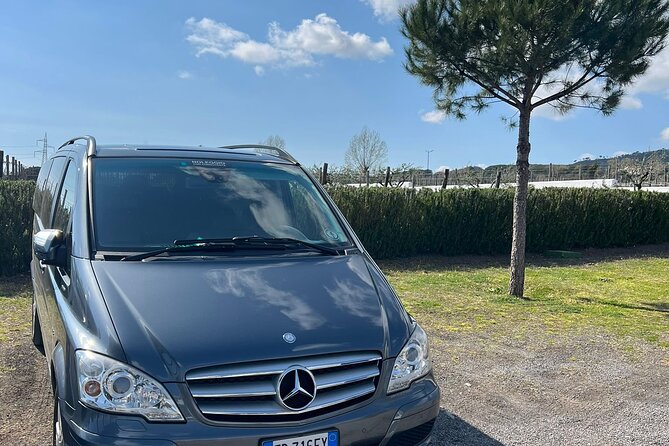 Private Transfer from Positano to Naples Airport - Naples Airport or Naples city