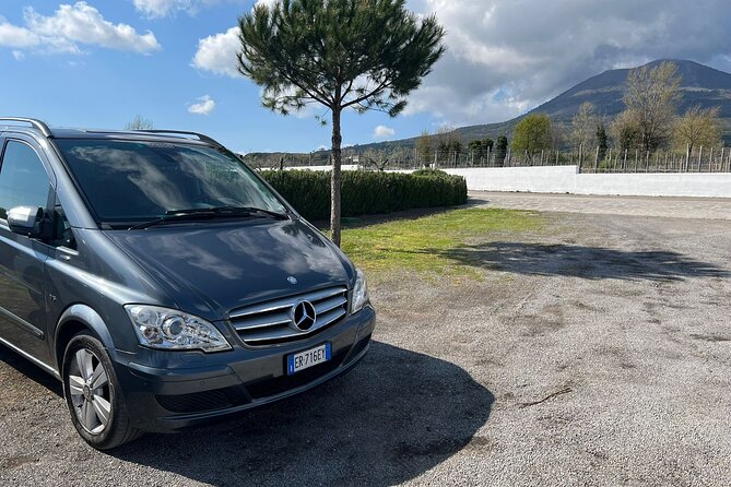 Private Transfer from Positano to Naples Airport - Positano pickup requires careful planning