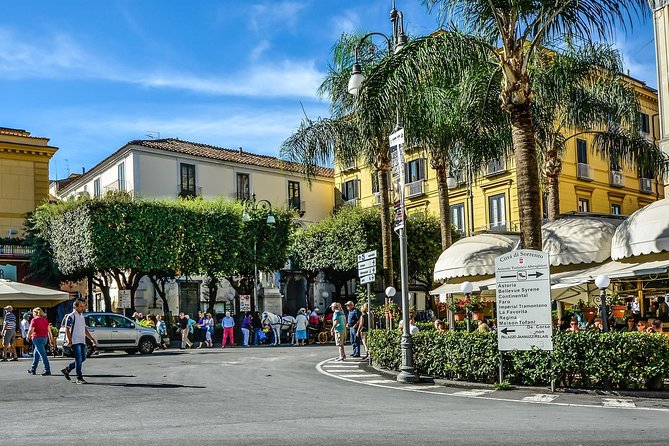 Private Transfer from Sorrento or Amalfi coast to Naples or vice versa - Key points to know before booking