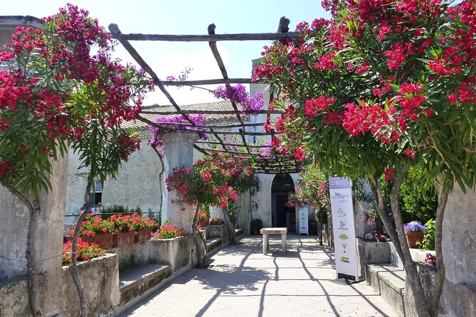 Ravello, Sorrento & Positano Private Tour - Final verdict: a useful first look at the coast