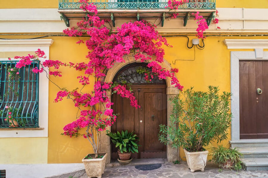 Round-Trip Ferry Ticket from Salerno to Amalfi and Positano - Practical tips for a smoother day
