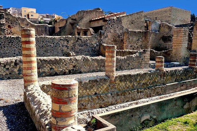 Skip-the-Line Herculaneum Tour from Sorrento - Is $72.14 a fair price?