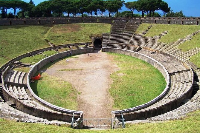 Skip-the-Line Pompeii and Vesuvius Tour - Should you book the Pompeii and Vesuvius tour?