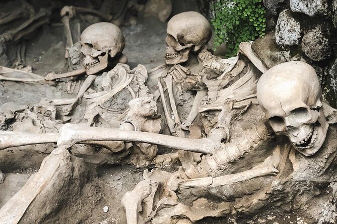 Skip the line Ticket Herculaneum Guided Tour 4 hrs - Leaving Sorrento or Naples by bus