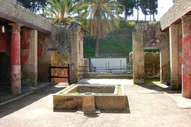 Skip the line Ticket Herculaneum Guided Tour 4 hrs - The House of the Hotel and its large private setting