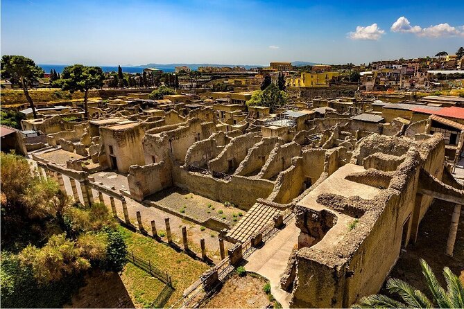 Skip the line Ticket Herculaneum Guided Tour 4 hrs - Entering the ruins with skip-the-line admission