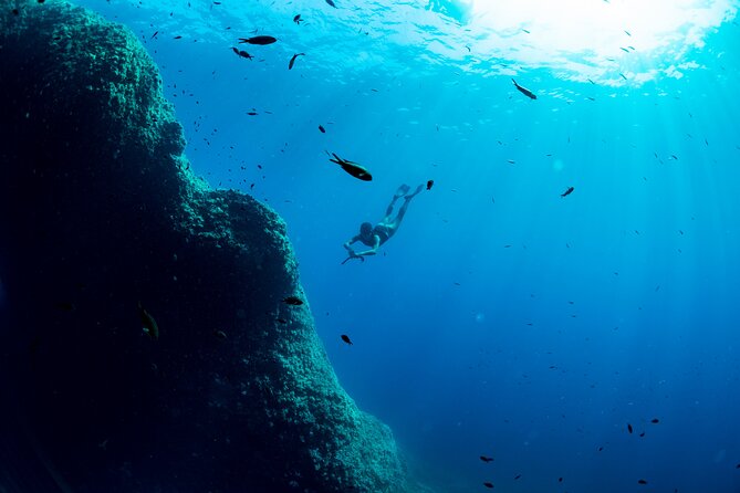 Snorkeling with Marine Biologist Expert from Sorrento - Group size, comfort, and confidence