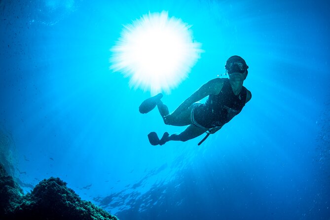 Snorkeling with Marine Biologist Expert from Sorrento - What your $115.24 pays for