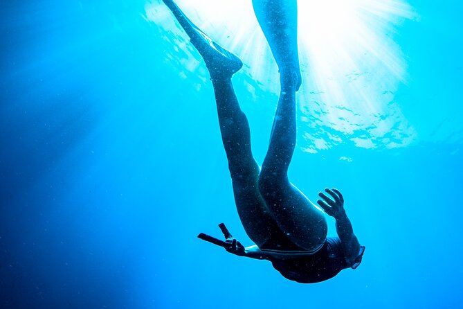 Snorkeling with Marine Biologist Expert from Sorrento - Who will enjoy this most