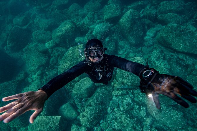 Snorkeling with Marine Biologist Expert from Sorrento - Practical planning for Marina Grande