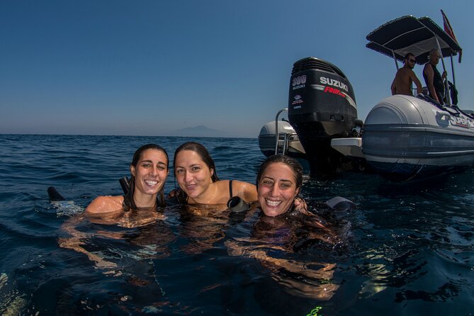 Snorkeling with Marine Biologist Expert from Sorrento - Why the marine biologist matters