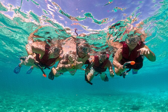 Snorkelling Experience - Key details before you book