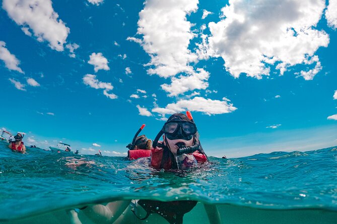 Snorkelling Experience - A short dinghy ride to Punta Campanella