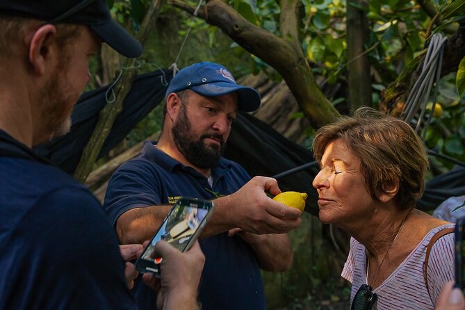 Sorrento Ape Tour, Lemon Garden, Mozzarella Show & Pizza Class - A Four-Hour Taste of Sorrento Country Life
