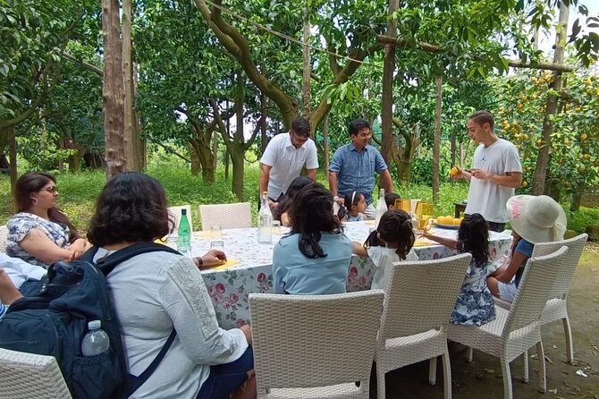 Sorrento: Authentic Lemon Experience at a Farm with Tastings - Why the 90-minute length works well