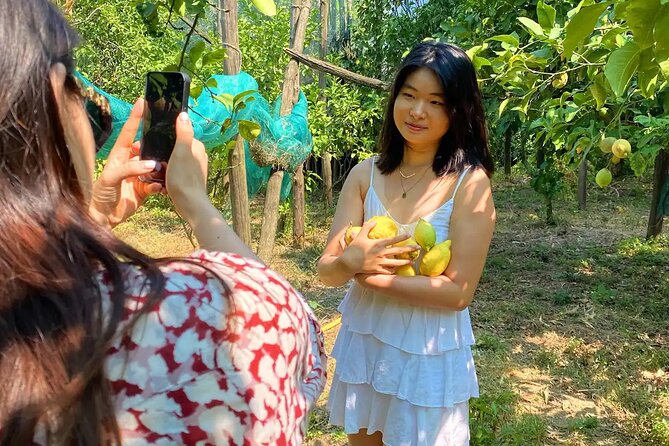 Sorrento: Authentic Lemon Experience at a Farm with Tastings - Reaching Via dei Platani from Naples or the coast