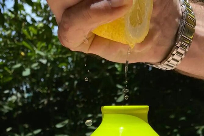 Sorrento: Authentic Lemon Experience at a Farm with Tastings - Who should book this farm visit