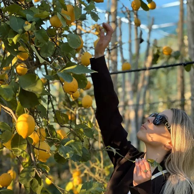 Sorrento: Authentic Lemon Experience in a Farm with Tastings - Marmalade, limoncello, and the local pantry