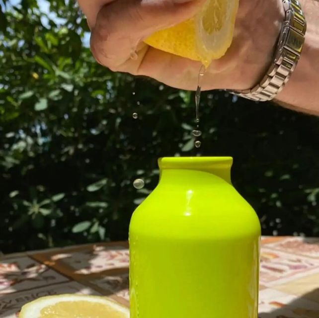 Sorrento: Authentic Lemon Experience in a Farm with Tastings - Price, timing, and what you receive