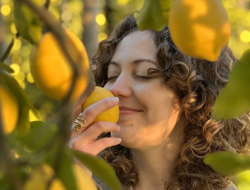 Sorrento: Authentic Lemon Experience in a Farm with Tastings - Picking lemons with pruning scissors