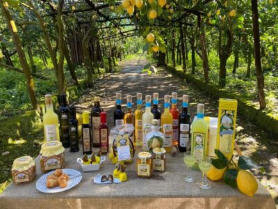 Coast E-Bike Tour with Limoncello Tasting