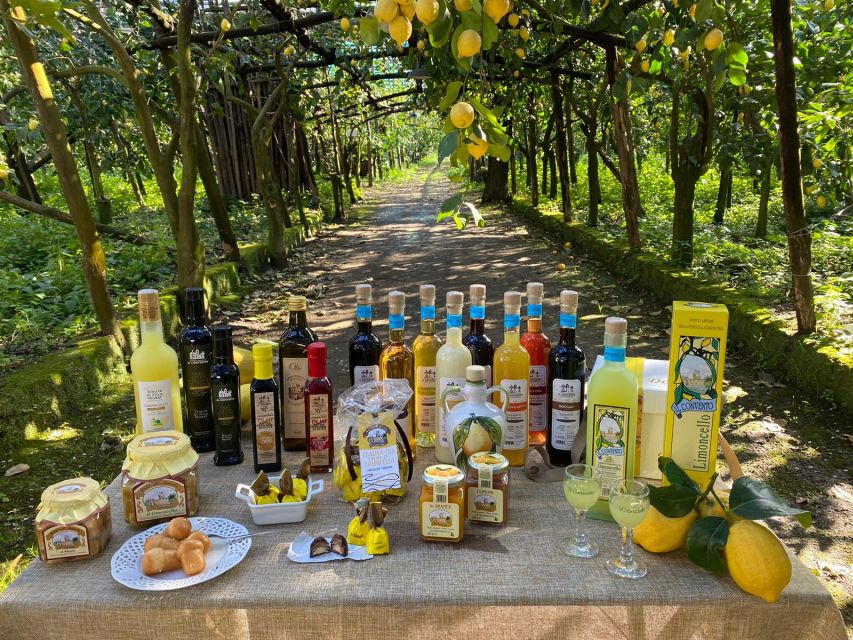 Sorrento: Coast E-Bike Tour with Limoncello Tasting - What the 50-minute outward ride is really like