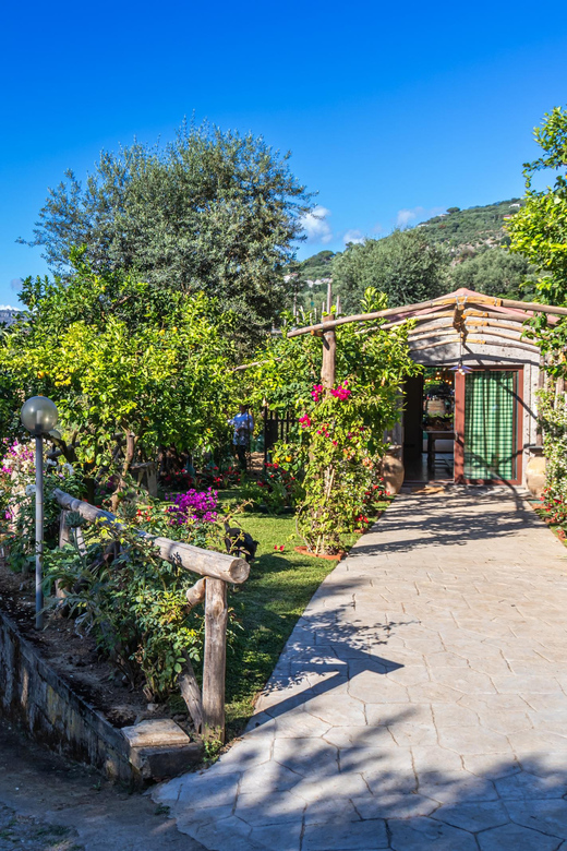 Sorrento Cooking Class: Taste the Tradition feel the Love - Making gnocchi from scratch