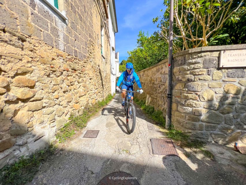 Sorrento: E-bike Oil & Lemon Tour with Tasting - What your $90.63 covers