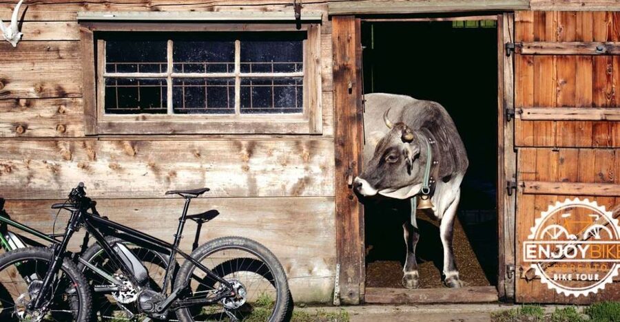 Sorrento: E-Bike Wine & Food Tour - What you taste at the family farm