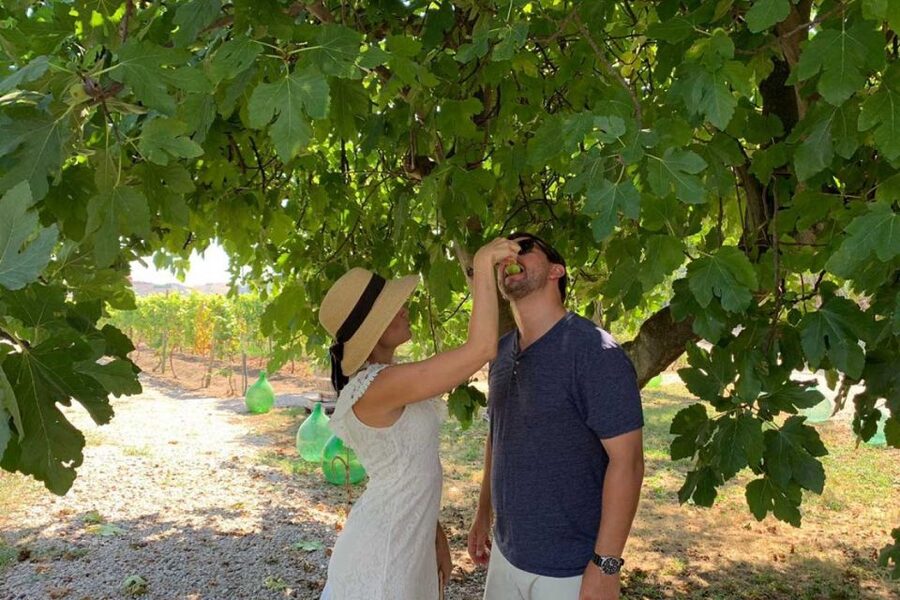 Sorrento: Family Farm Experience with Lunch - Learning how the farm makes its products