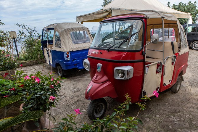 Sorrento Farm by Tuk Tuk: Cheese, Limoncello & Hands-On Pizza - What the $211 price really covers
