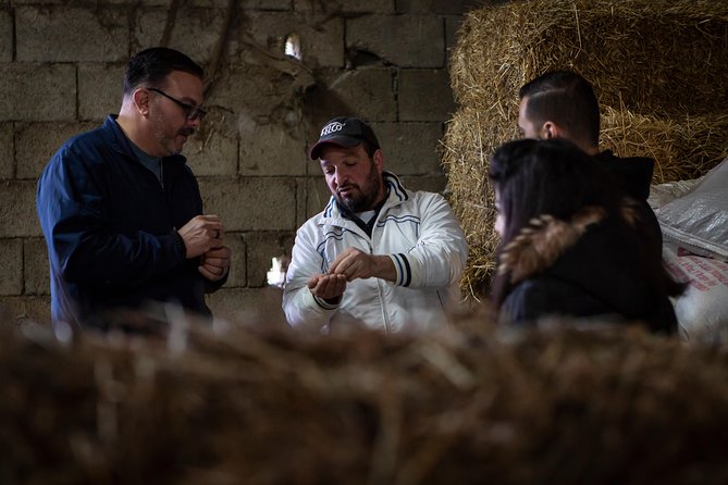 Sorrento Farm by Tuk Tuk: Cheese, Limoncello & Hands-On Pizza - Timing, pickup, and the small details that matter