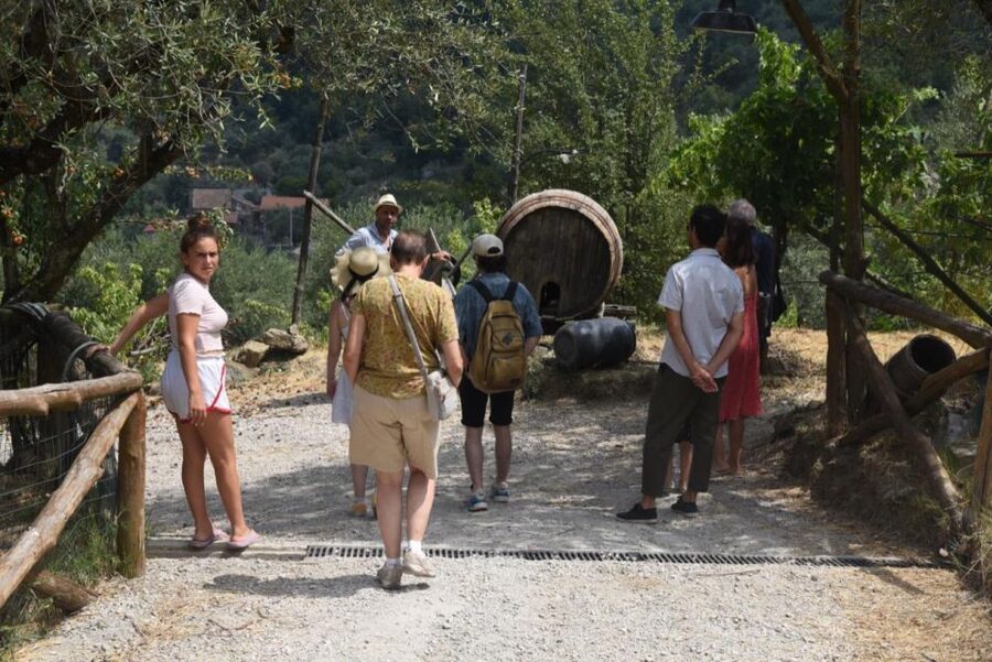 Sorrento Farm Experience: Pizza, Cheese, Wine & More - Visiting a D.O.P.-certified farm