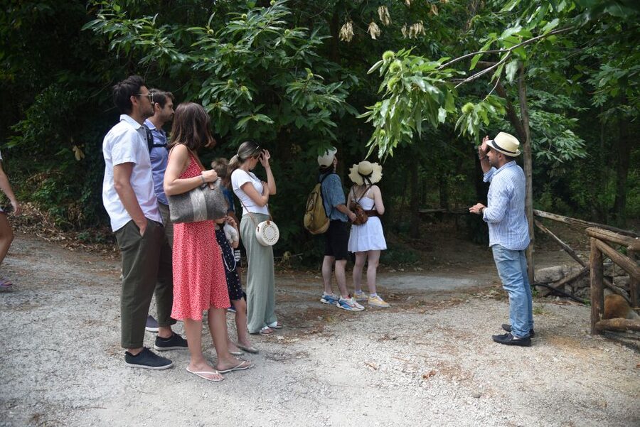 Sorrento: Farm Tour with Cheese Tasting & Pizza Making Class - Lunch includes much more than pizza