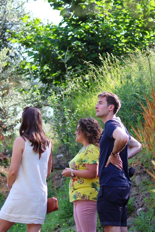 Sorrento: Guided Olive Mill Visit with Tastings - Should you book the Sorrento olive mill visit?