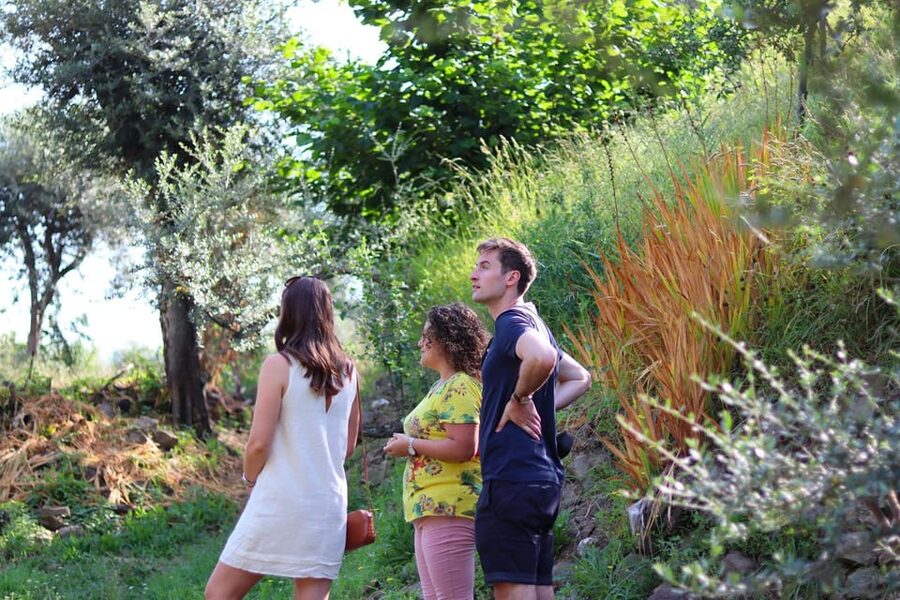 Sorrento: Guided Olive Mill Visit with Tastings - How the $50 price works out