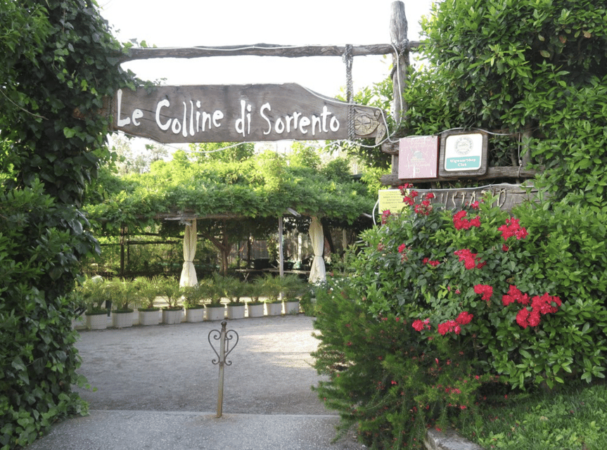 Sorrento: Lemon Garden Guided Tour with Tastings - A family farm five minutes from Sorrento
