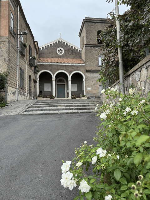 Sorrento: Lemon Garden Guided Tour with Tastings - Who will get the most from this visit