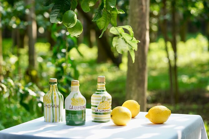 Sorrento Lemon Grove Experience with Local Product Tasting - A lemon grove in the middle of Sorrento