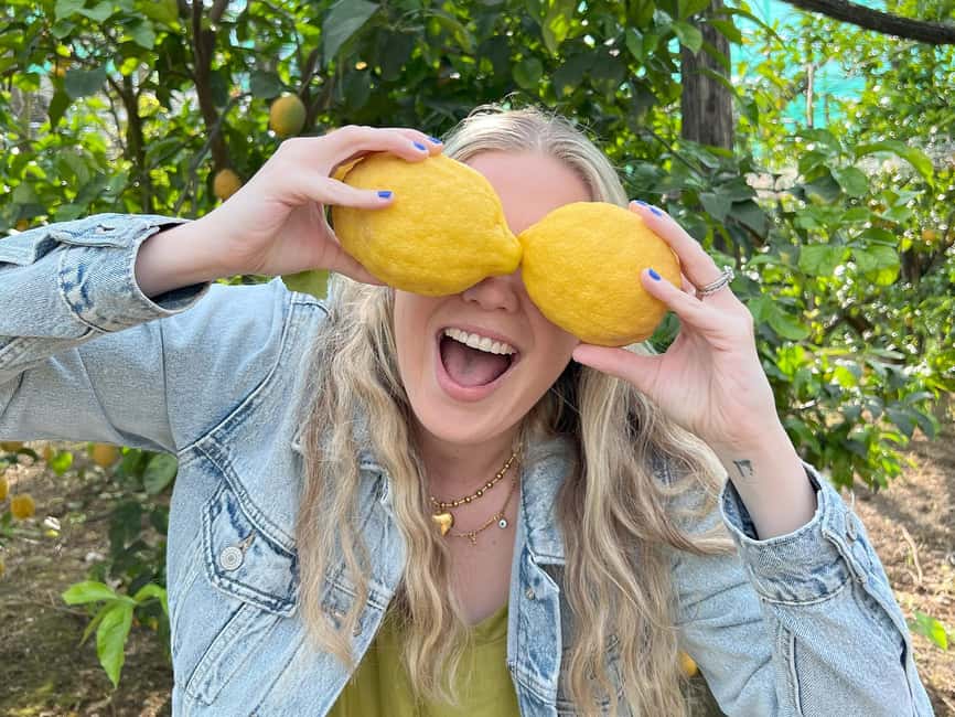 Sorrento: Lemon Picking & Tasting Tour - Key things to know before you book