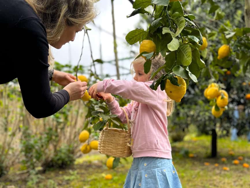 Sorrento: Lemon Picking & Tasting Tour - Who will enjoy this most