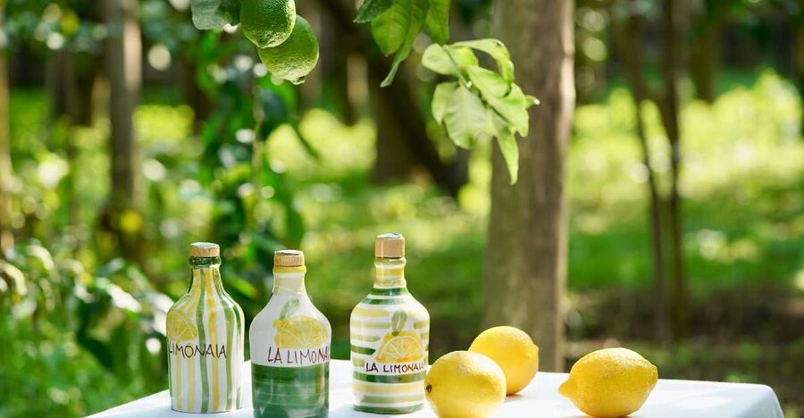 Sorrento Lemon Tour - Why Sorrento’s lemon deserves its own tour