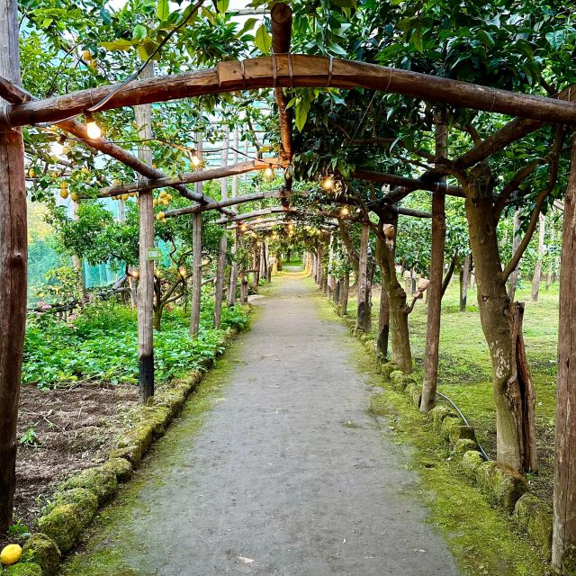 Sorrento Lemon Tour - Entering La Limonaia on Via Bernardino Rota