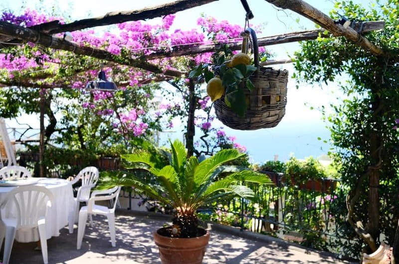 Sorrento: Marì Cooking Class in a Family Farm w/ Coast View - Four hours of hands-on cooking