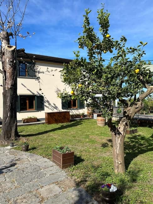 Sorrento: Mozzarella experience. Say CHEESE with us! - Should you book Sara’s mozzarella experience?