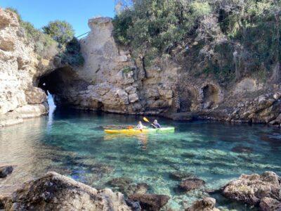 Premium Kayaking Experience with Swimming