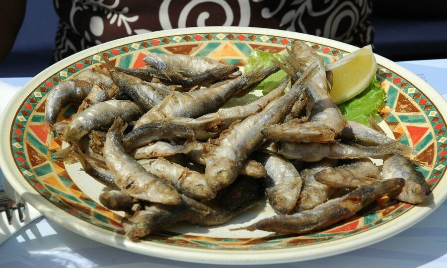 Sorrento: Sea-Fishing Tour with Lunch Onboard - Lunch with a Campania catch onboard