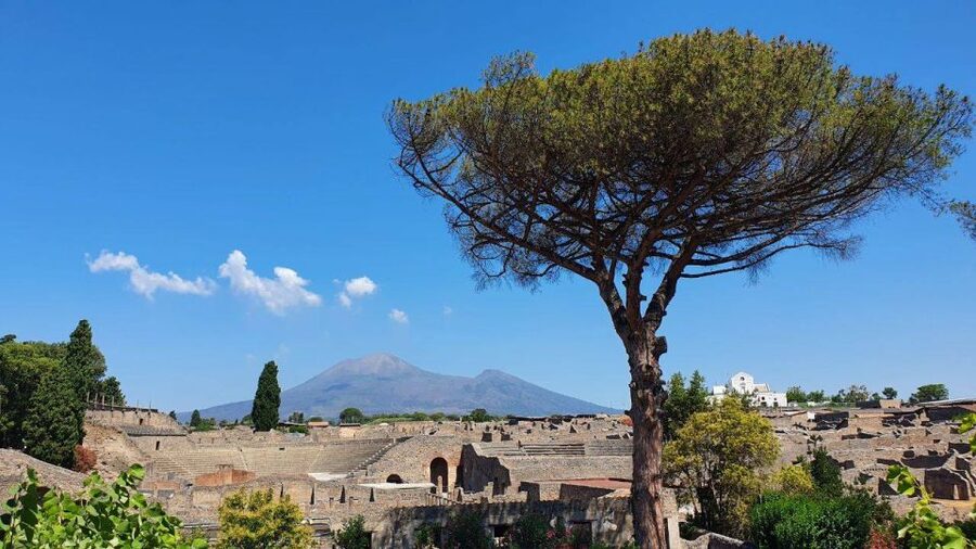 Sorrento: Skip-the-Line Pompeii Express Tour by Train - Free time after the guided walk