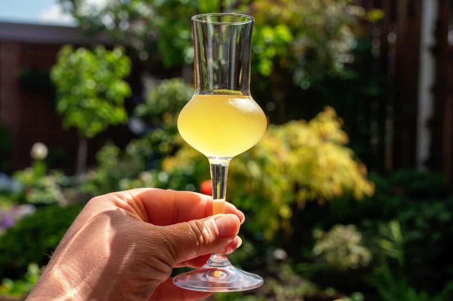 SORRENTO: Sunset Limoncello Making After-Dinner Experience - Should you book the Sorrento limoncello class?